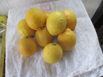 lemon5