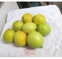 mixlemon5