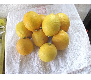 lemon5