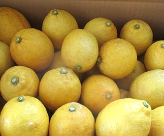 lemon5